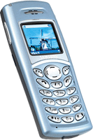 Телефон Samsung SGH-C110
